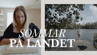 Thrift-flip, sommarträdgård & vloggar med Sony ZV-E1