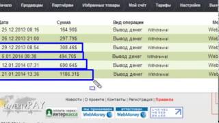 От 100$ в сутки в qwertypay