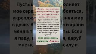 #молитва
#верую
#вераправославная
#иконы
#пресвятаябогородица
#богородицадева
#православие #short