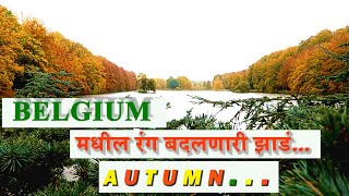 AUTUMN IN BELGIUM | बेल्जियमचं कोकण | With English Subtitles #Nature #MarathiVlog #Belgium #शरद ऋतु