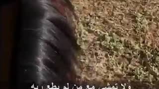 حكمه اليوم نصيحه من جد لحفيده