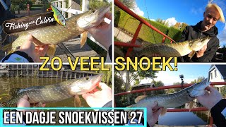 ZO VEEL SNOEK IN DEZE SLOOT! - Een dagje snoekvissen 27