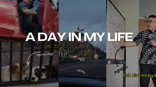 Daily Vlog: A Day in My Life | Stefanie Humena