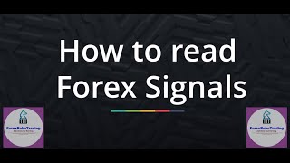 Most necessary guidelines for forex trading