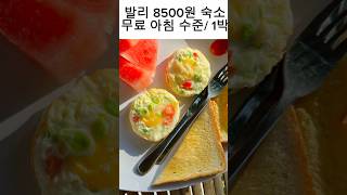 발리 8500원  1박 숙소 무료 조식. 처음에 돈 받는 줄 알고 거절함.  #발리숙소 #발리음식