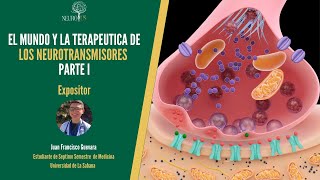 El Mundo y Terapéutica de los Neurotransmisores, Parte I