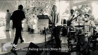 vb all stars - Can’t Help Falling in Love