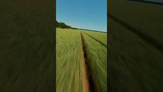 FPV DRONE FLYING LOW OVER FIELDS