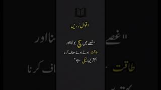 Aqwal E zareen in urdu | Quotes #shorts #HabibTV