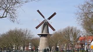 Molen De Walvisch - Schiedam