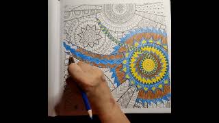 Completing the Mandala Coloring Book | No. 6