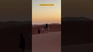 Travel adventure with camel 🐫 ride at sunset in Sahara desert.