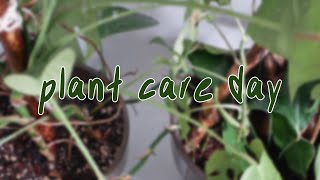 HOUSEPLANT CARE | plant care day, watering, checking on sad plants