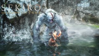 Sekiro Epic Battle with the Guardian Ape: Unbelievable