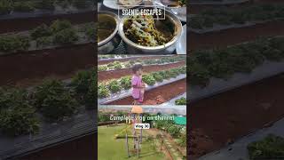 A must visit place when you are in Panchgani #shorts #subscribe #travel #vlog #shortvideo #family