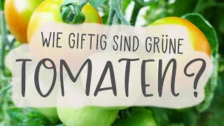 Sind grüne / unreife Tomaten giftig ❓💀❓ | Kompost&Liebe