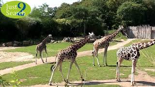 Leipzig Zoological Garden Germany - Places to Visit in Germany