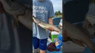 Nice Pike  on BIG SPOON!!!! #hookbaits #pike #lilman #pikefishing