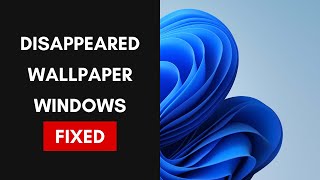 How To Fix Disappeared Wallpaper on Windows 11 / 10 Problem