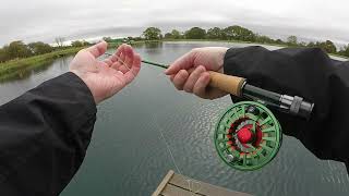 A Blue Trout at Southport Fly Fishing clubs lake