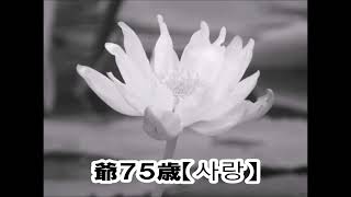 爺７５歳【사랑】241015