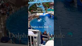 BEST of Dolphin Show at San Diego SeaWorld | #seaworld #dolphin #sandiego #destination