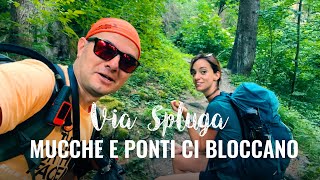 SI PARTE per LA VIA SPLUGA ma mucche e ponti ci bloccano | Ep.1