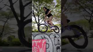 Line up BMX trick on skatepark