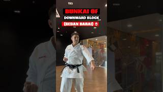 Purpose of the downward block 🥋 #karate #shorts