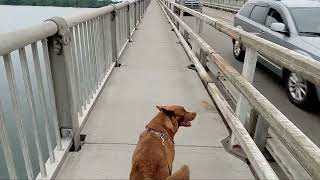 Crossing the North Grand Island Bridge over the Niagra River.  good bye Niagara Falls.