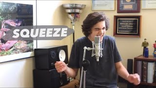 Fifth Harmony - Squeeze (Cover by Alexander Stewart)