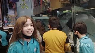 The international school of choueifat school Childres Visit my Pet shop.#PetsAdam