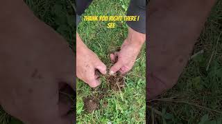 September 19, 2024 Metal Detecting