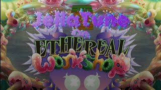 JellaTune on Ethereal Workshop!