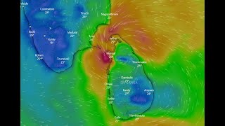 බුරවි සුළිකුණාටුව සජීවී තත්වය