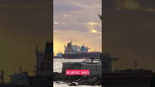 Explore VANCOUVER #shorts #canada #yotubeshorts #vancouver #trending #viral