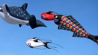 Kite Festival - Lincoln City, Oregon