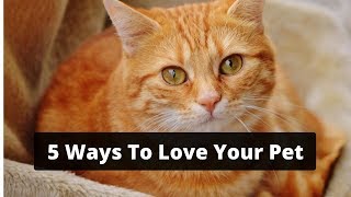 5 Ways To Love Your Pet