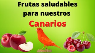 frutas para canarios