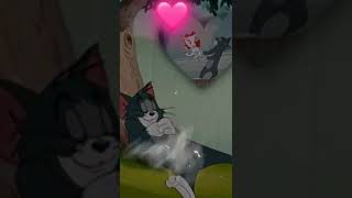 cat 🐈 love 🥰 subscribe 🙏