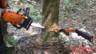 Abattre un arbre en le dirigeant dans le sens contraire de son inclinaison naturelle