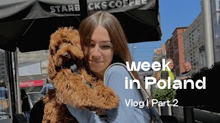 Vlog | Part 2. Майские дни в Польше 🌸