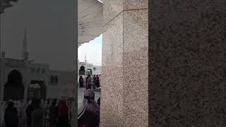 Madina Sharif Saudi Arab 💕 | Masjid e Nabvi Status | #madina #makkah #palestine #shorts #viralvideo