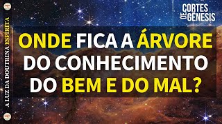 177 - ONDE FICA A ÁRVORE DO CONHECIMENTO DO BEM E DO MAL?