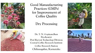 Good management practices for the improvement of coffee quality