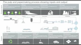 The Pulp and papermaking process showing inputs and output