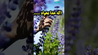 اگه خدا بخواد غیر ممکن، ممکن  میشه/خدایا شکرت #shorts