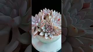 Satisfying Succulent Diy #66