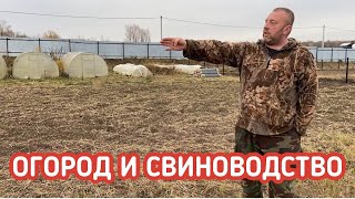 Сокращение огорода и будущий вольер для вьетнамских свиней