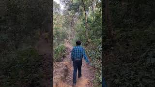 Beautiful Waterfall In rainy season in Odisha | Green Odisha | Wildgrass Entertainment | Shorts